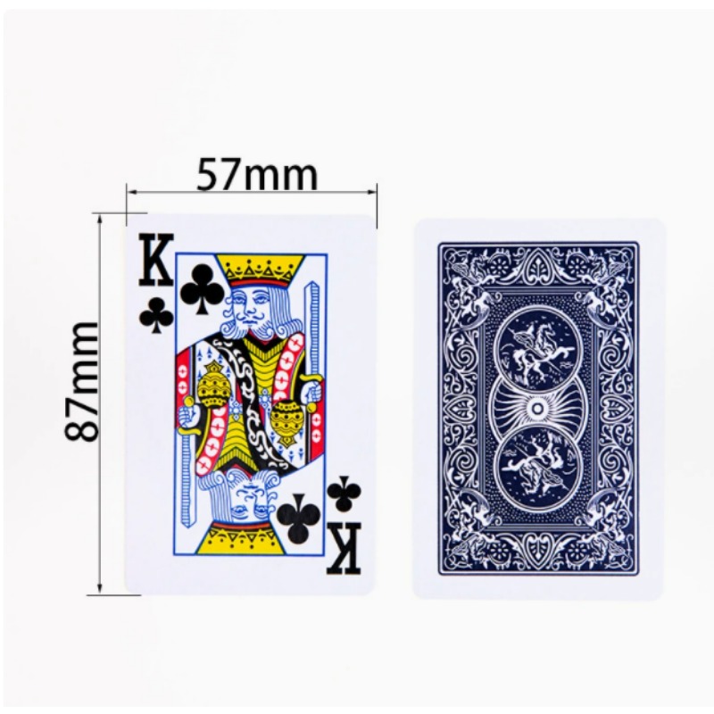 Premium Opaque Playing Cards S - Book Party Games review and price